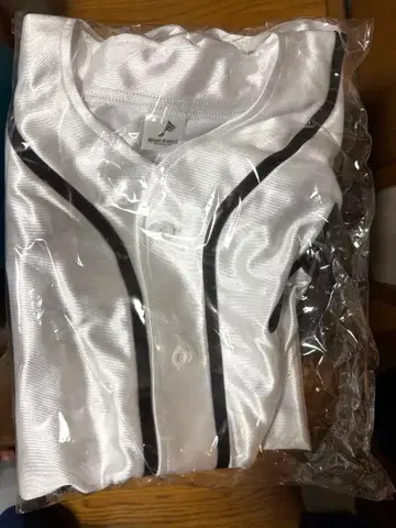 WHAT IS EXILE 업그레이드 굿즈