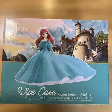 디즈니 프린세스 아리엘 Wipe Case
