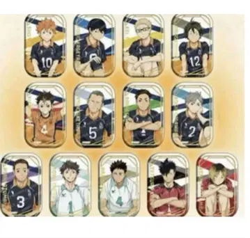 세븐넷 한정판 하이큐 앉아 캔뱃지 미개봉 새상품