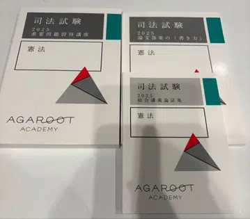 사법시험 헌법 아갈토