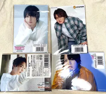 호리에 슌 브로마이드 세트 (12장)