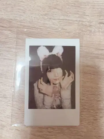 타마야네 LARME 페스티벌 LARME fes 2024 폴라로이드