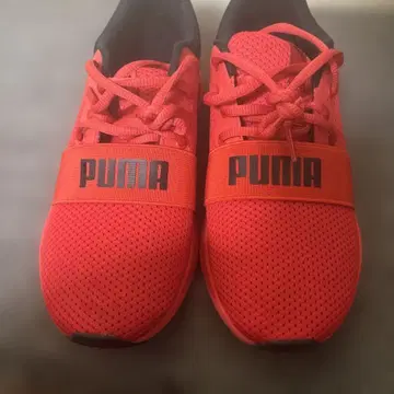 PUMA 레드 스니커즈 25.5
