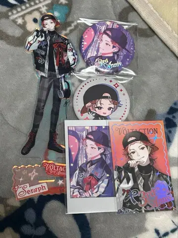 니지산지 볼타 액션