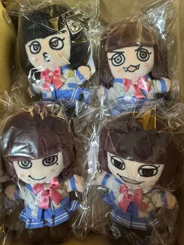 캰쟈니 누이 4체 세트