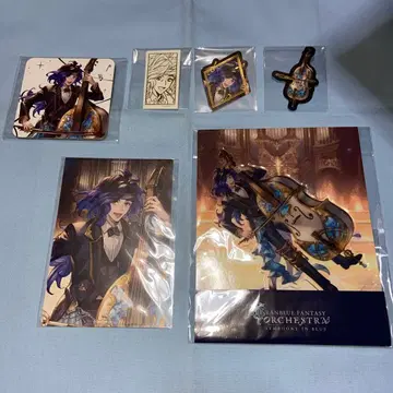 오로로자이아 오케스트라 세트