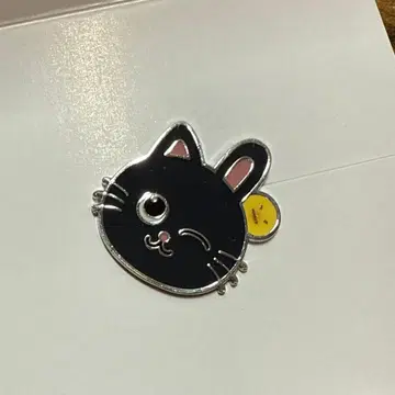 RIIZE 원빈 랜덤 커스텀 참