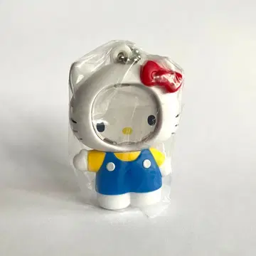 헬로키티 사진 프레임 마스코트