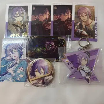 카미시로 루이 묶음 판매