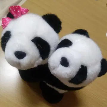 팬더 봉제 인형 2개 껴안은 모습