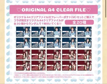 웬디즈 AKB 쿠라노오 나루미 클리어 파일