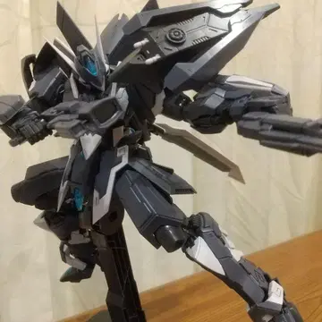 중국산 프라모델 창위 완성품