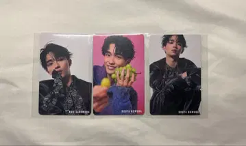 노무라 코타 트레이딩 카드