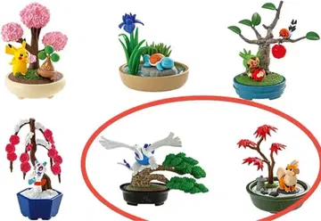 포켓 bonsai 2 포켓 분재 2 루기아 가디