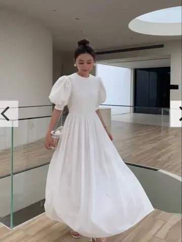 VOLUME SLEEVE DOCKING SHEER DRESS Long