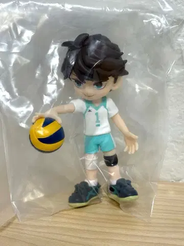 팔버스 오이카와 토오루 하이큐