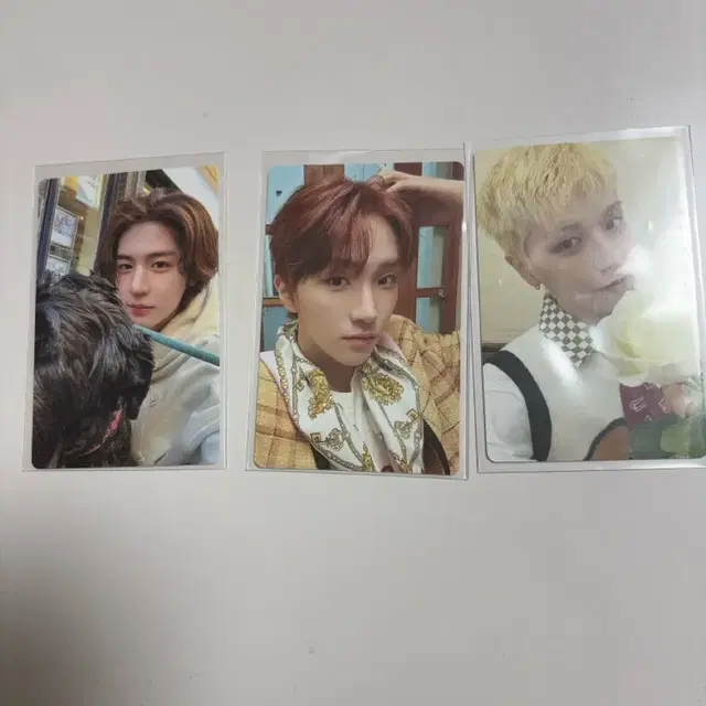 보넥도 앨범 포카 양도