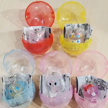 주얼펫 메지루시 액세서리 컴플리트