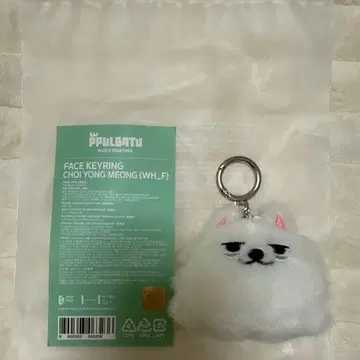 TXT 뿔바투 용몬 페이스 키링