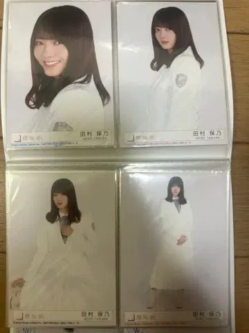 타무라 호노 브로마이드