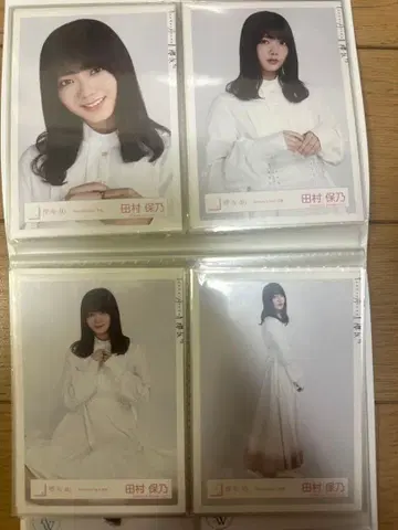 타무라 호노 브로마이드