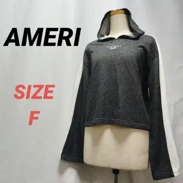 AMERI 아메리 후드티 자수 그레이 여성용 사이드 라인 숏