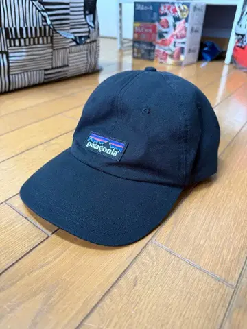 patagonia 블랙 야구 모자
