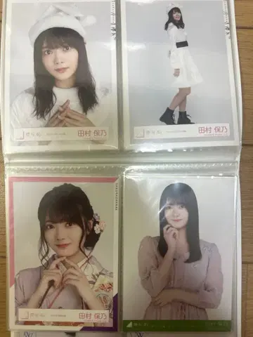 타무라 호노 브로마이드