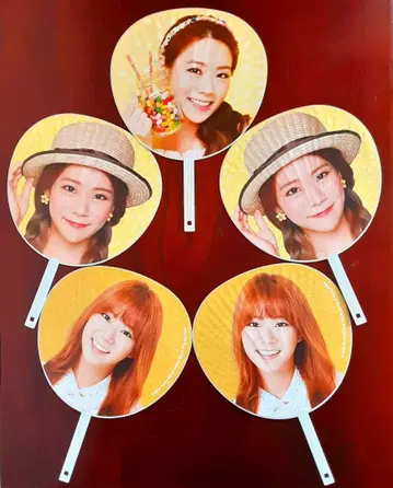 KARA 승연 공식 부채 5개