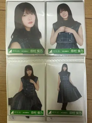 타무라 호노 브로마이드