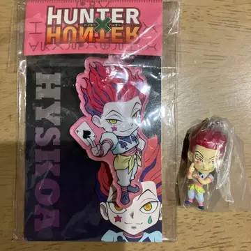 HUNTER x HUNTER 히소카 아크릴 키링 & 스윙 세트