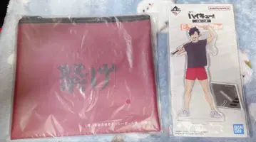 하이큐 제일복권 네코마 세트