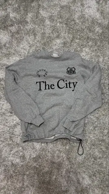 WISH FOREVER 그레이 맨투맨 M