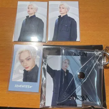 seventeen 세부치 NEW 인스턴트 사진 트레이딩 카드 준