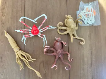 타카아시게, 문어, 대왕오징어 세트