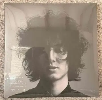 후지이 카제 레코드 LP HELP EVER HURT NEVER 한정판