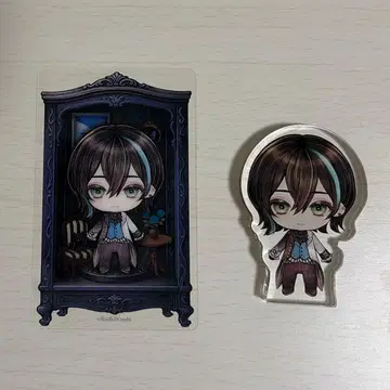 아크네코 베렌 돌 아크릴