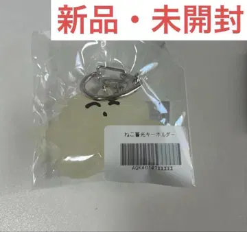 카네코 아야노 축광 키링 새상품 미개봉