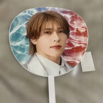 스에자와 세이야 부채 D.N.A.