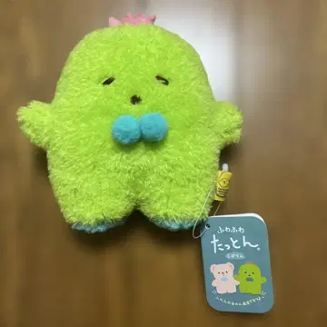 푹신푹신 타톤 선인장 봉제 인형 S