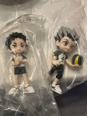 팔버스 보쿠토 아카아시 하이큐