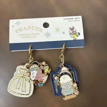 USJ 유니버셜 스누피 찰리 브라운 참 세트