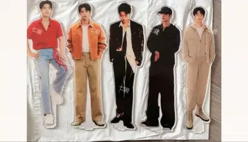 샤오잔  광고 음악 축제 대형 30cm 아크릴 스탠드 5개 세트