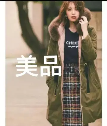 아푸와이저 리셰 리버서블 다운