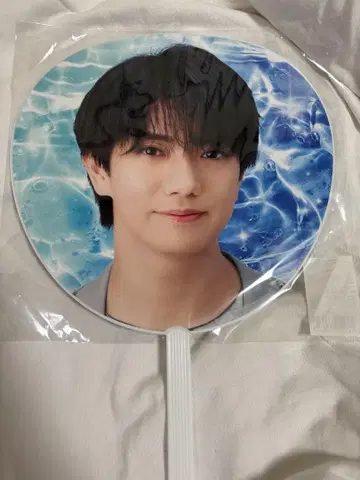 마사카도 요시노리 DNA 부채