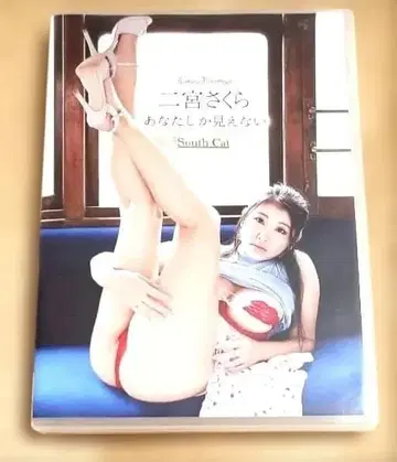 레어 니노미야 사쿠라 당신밖에 보이지 않아 South Cat DVD
