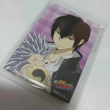 가정교사 히트맨 REBORN! 히바리 마그넷 B JF 한정판