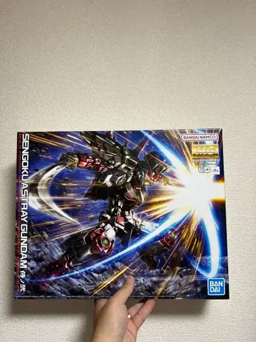 MG 1/100 전국 아스트레이 건담