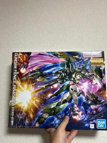 MG 1/100 건담 페니체 리나시타