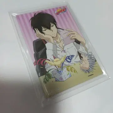 가정교사 히트맨 REBORN! 히바리 마그넷 C JF 한정판